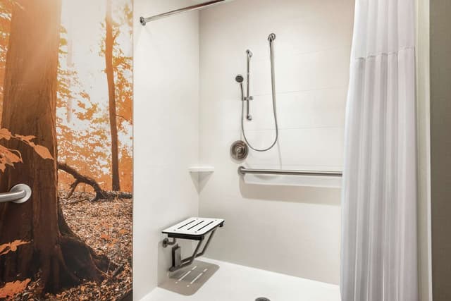 1 QUEEN MOBILITY ACCESSIBLE W/ROLL IN SHOWER