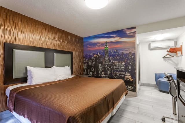 Room, 1 King Bed, Smoking