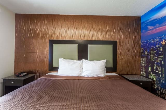 Room, 1 King Bed, Non Smoking