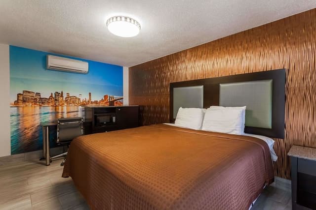 Room, 1 King Bed, Smoking