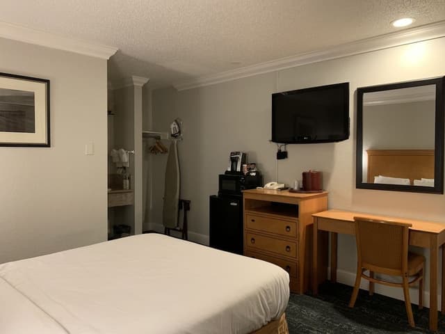 Room, 1 Queen Bed