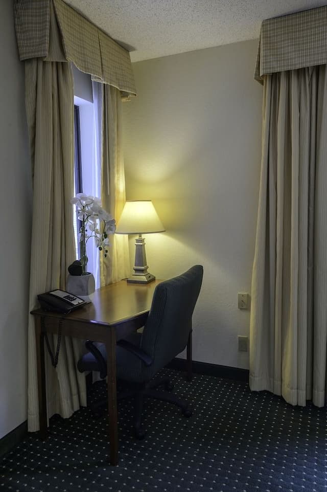 Traditional Studio Suite, 1 King Bed