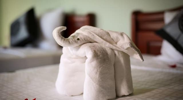 Deluxe Twin Room, 2 Twin Beds, Non Smoking, Garden View