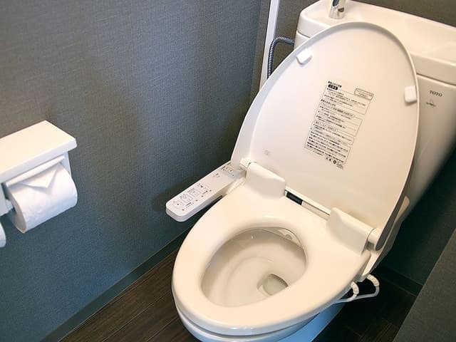 Dog Friendly - Twin Room, Smoking, Annex Building, Shared Bath