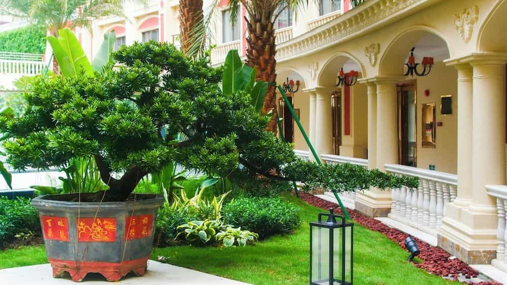 Wyndham Foshan Shunde Wyndham Foshan Shunde