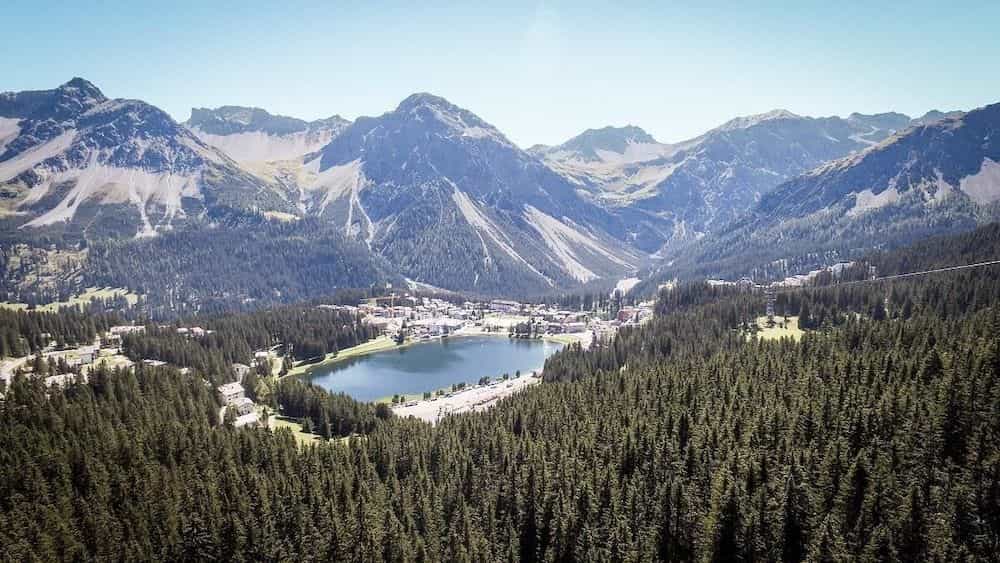 Arlenwald Arlenwald