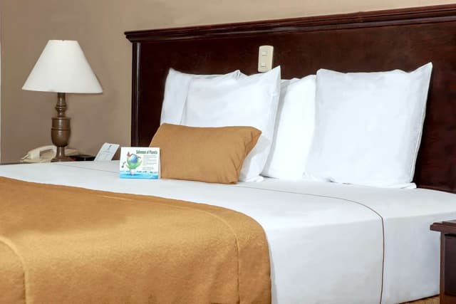1 King Bed, Non-Smoking, Full Breakfast
