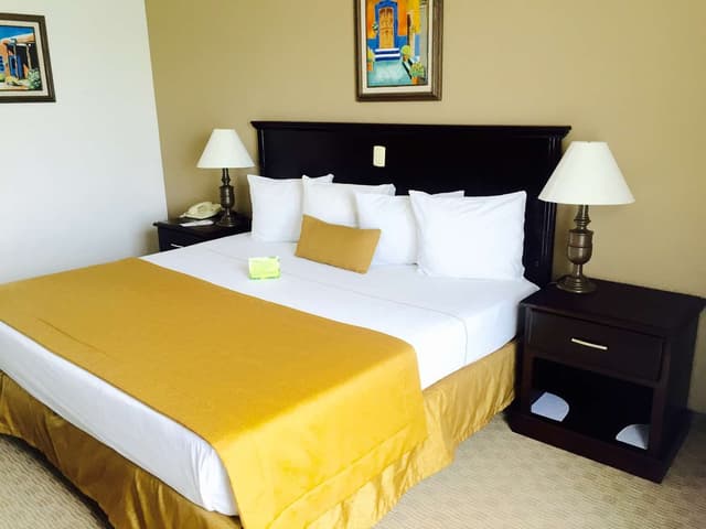 1 King Bed, Non-Smoking, Full Breakfast