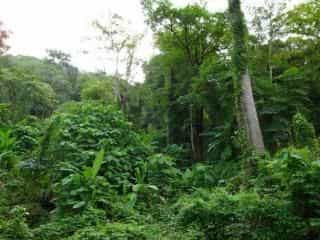 Ban Pailin Hill Ban Pailin Hill