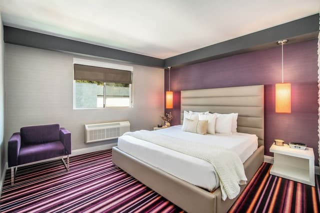 Suite, 1 King Bed