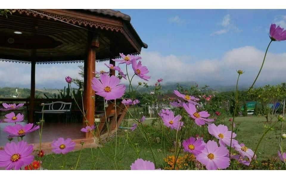 ภูปายแก้วรีสอร์ท (Phupaikaew Resort)4