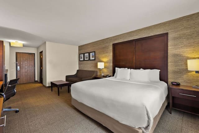 Standard Room, 1 King Bed with Sofa bed, Accessible, Non Smoking (Accessible Tub)