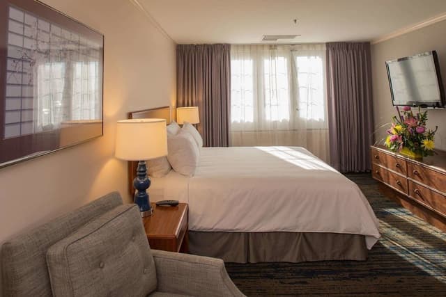 Deluxe Room, 1 King Bed, Accessible
