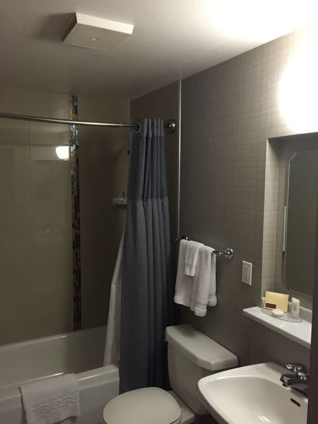 Deluxe Room, 1 King Bed, Accessible