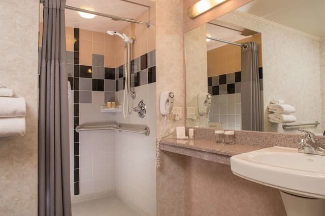 Deluxe Room, 1 King Bed, Accessible