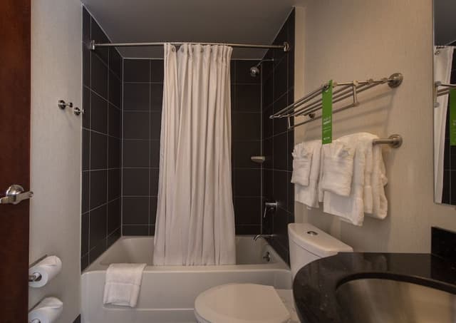 Deluxe Suite, 1 King Bed, Terrace, City View
