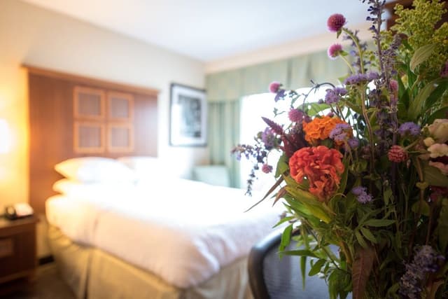 Deluxe Suite, 1 King Bed, Terrace, City View