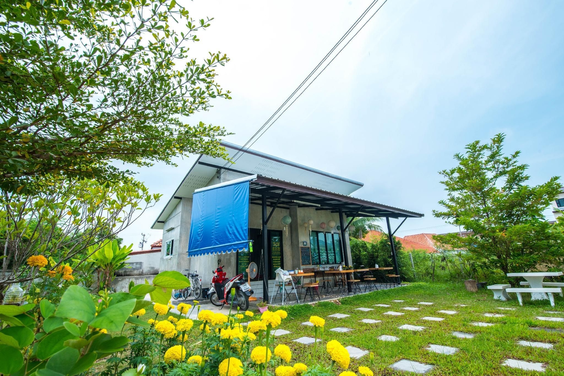 สวีท ดรีม (Sweet Dreams)3