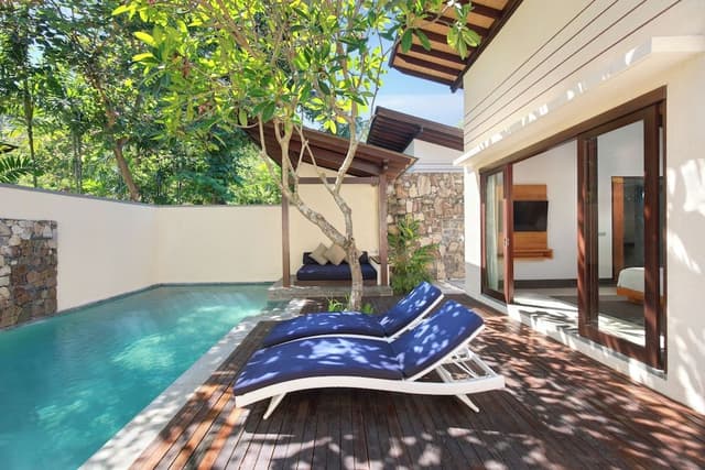 Tropical One Bedroom Pool Villa (King)