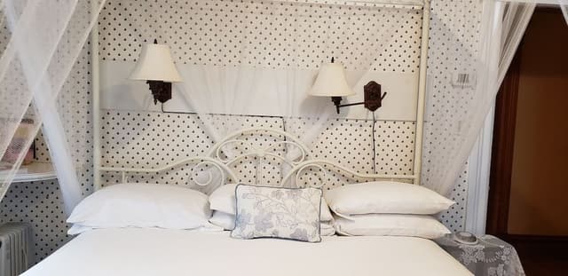 Night In Paris (Non-Pet Friendly)