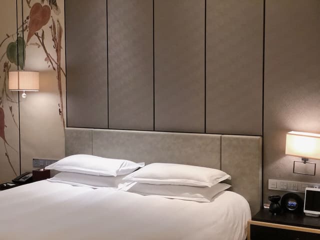 Light & Shadow · Silk Library (King Bed)