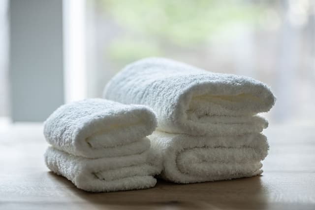 Twin room with shared bath (Nonsmoking)