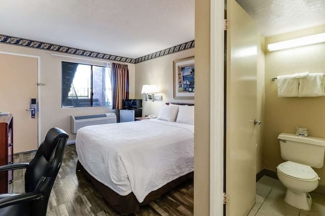 Room, 1 Queen Bed