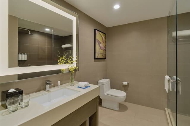 Studio Suite, 1 King Bed with Sofa bed, Kitchenette