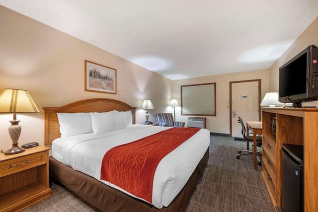 Standard Room, 1 King Bed, Accessible, Bathtub