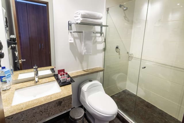 Suite-1 King Bed, Non-Smoking, Living Room, Coffee Maker, Mini Bar, Free Parking, Safe, Full Breakfast