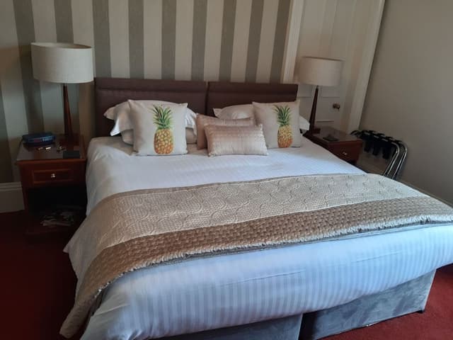 Double Room, 1 King Bed