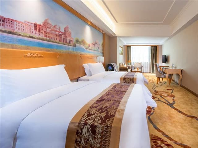 Vienna - Deluxe Single Bed Room