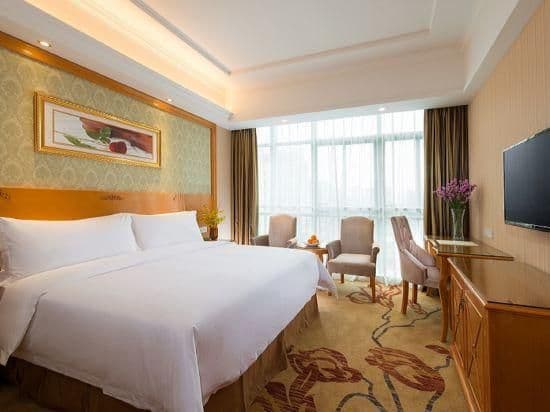 Vienna - Functional Suite Room