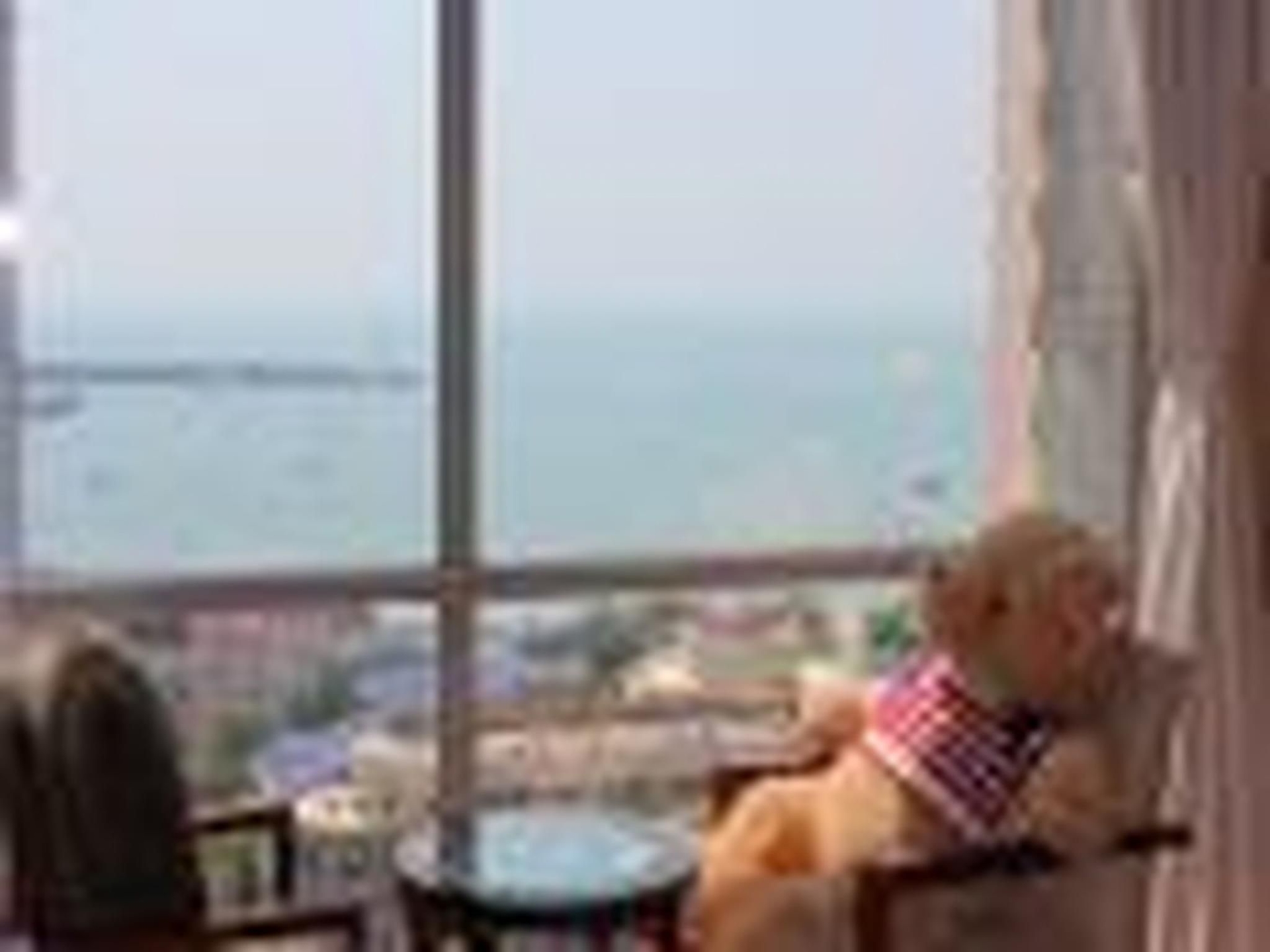 ชิงเตา จินซาน วี ฮอลิเดย์ อพาร์ตเมนต์ โอลิมปิก เซลลิง เซ็นเตอร์ (Qingdao Jinshan We Holiday Apartment Olympic Sailing Center)3