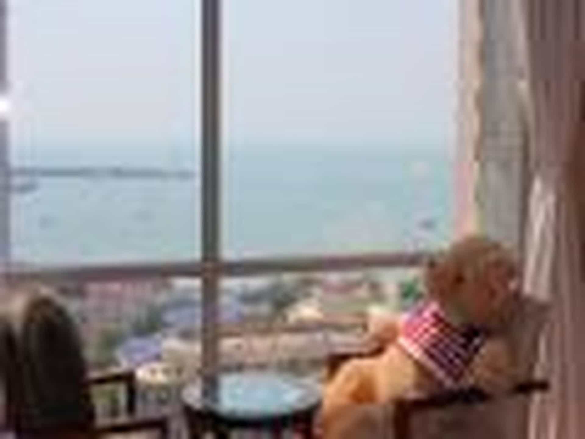 Qingdao Jinshan We Holiday Apartment Olympic Sailing Center Qingdao Jinshan We Holiday Apartment Olympic Sailing Center