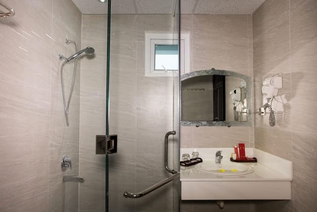 Deluxe Double or Twin Room, City View