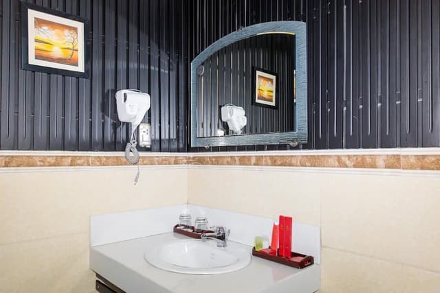 Deluxe Double or Twin Room, City View