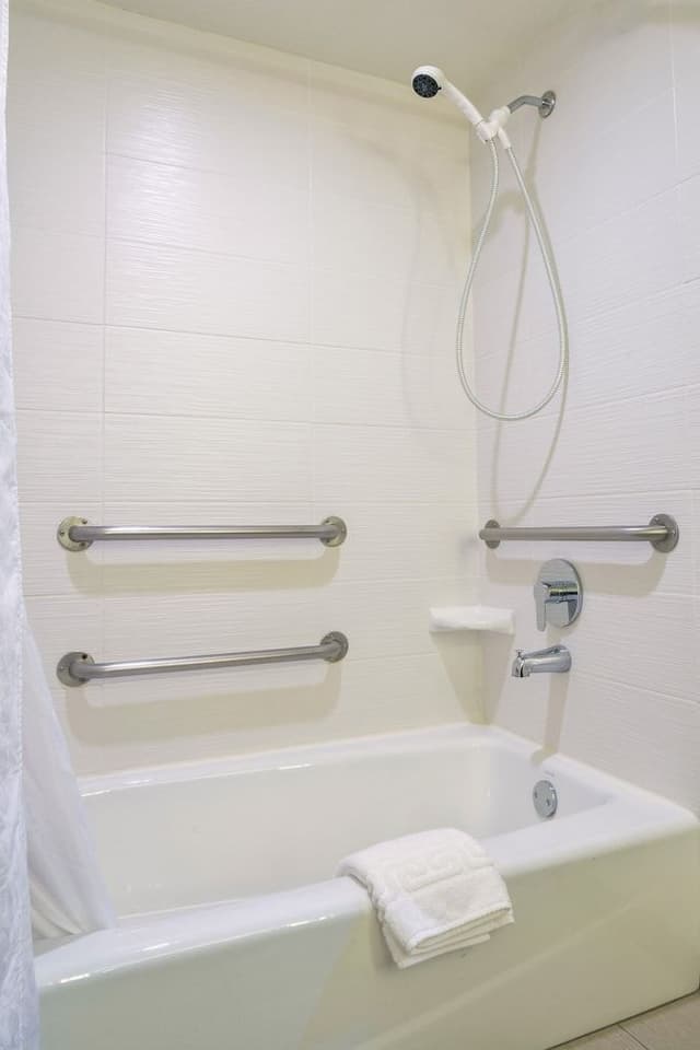 1 King Accessible Bathtub