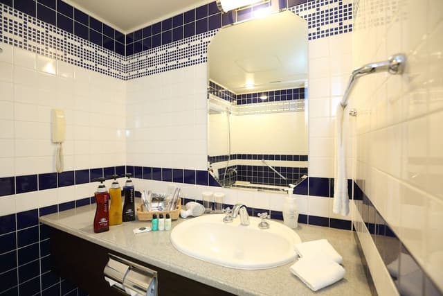 Standard Triple Room, Non Smoking (16-21 fr, 2 Single Beds + 1extra bed)