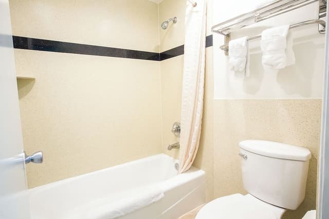 Deluxe Room, 1 Queen Bed, Refrigerator & Microwave