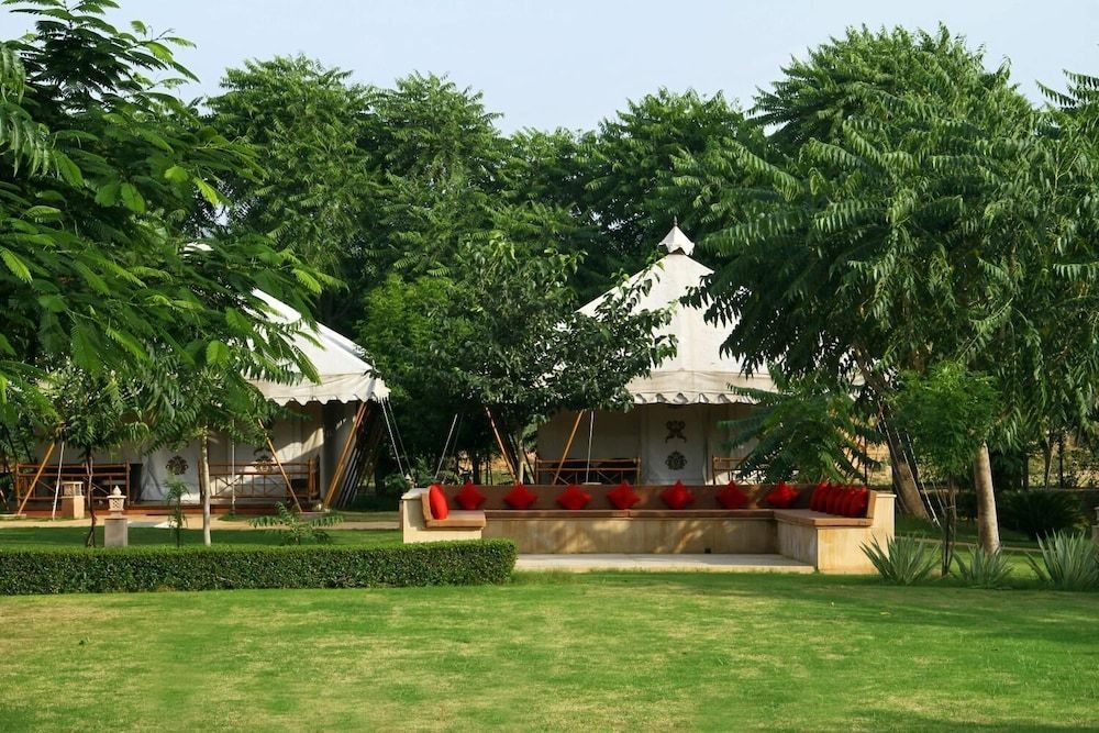 The Greenhouse Pushkar1