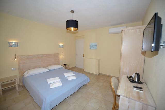 Classic Double Room