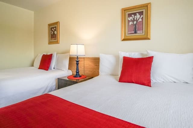 Double Room #14 (Pet friendly)