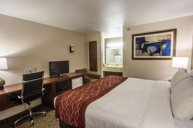 Standard Room, 1 King Bed