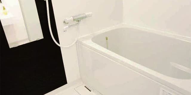 Deluxe Double Room, Non Smoking (with separated bath and toilet)