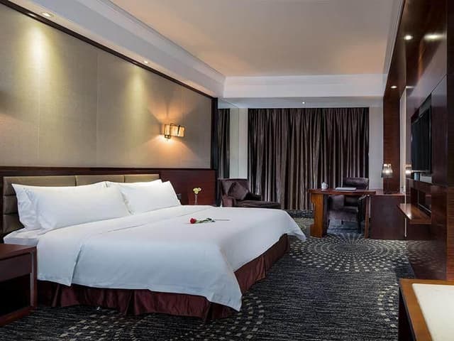 Vienna - Deluxe Room