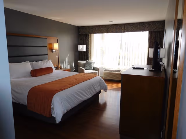 Room, 1 King Bed, Non Smoking
