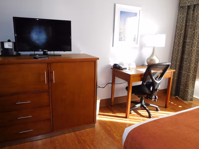 Room, 1 King Bed, Non Smoking