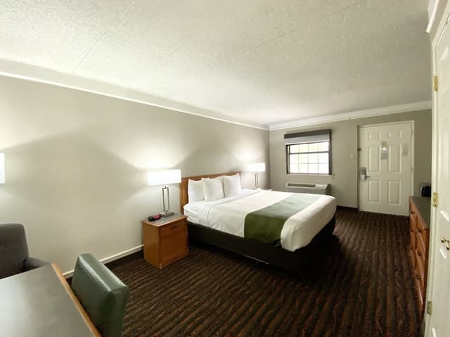Standard Room, 1 King Bed, Non Smoking