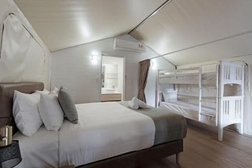 Deluxe Safari Tent - Sleeps 4